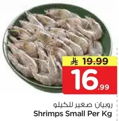 Shrimps Small Per Kg