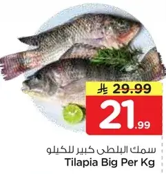 Tilapia Big Per Kg