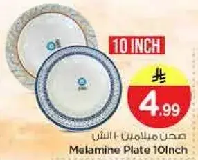 Melamine Plate 10 Inch