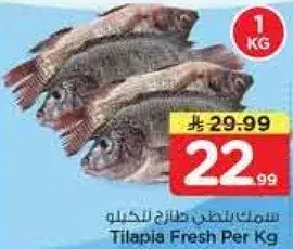 سمك البلطي طازج بالكيلو