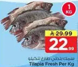 سمك تيلابيا طازج للكيلو