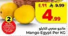 مانجو مصري للكيلو