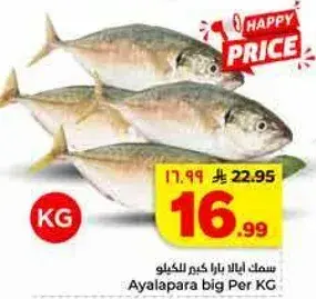 Ayalapara Big Per KG