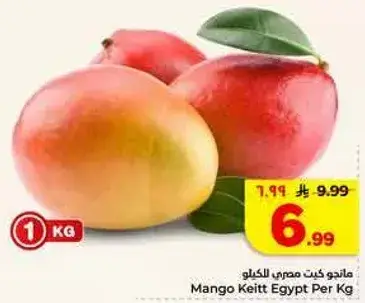 Mango Keitt Egypt Per Kg