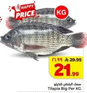 Tilapia Big Per KG