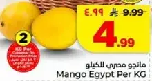 مانجو مصري للكيلو
