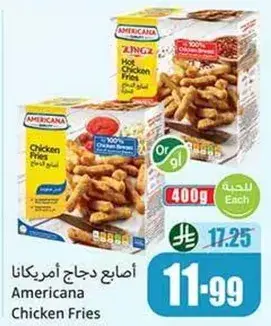 Americana Chicken Fries