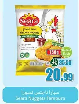سارا ناحجتس تمبورا