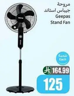 Geevas Stand Fan.