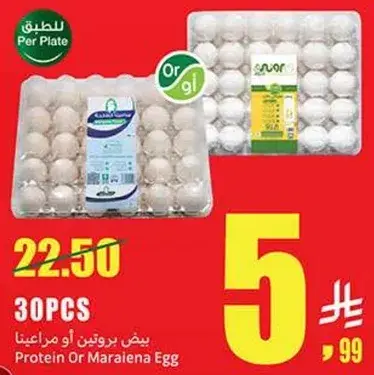 بيض بروتين او مراعينا