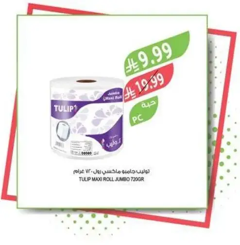 Tulip Maxi Roll Jumbo 720g