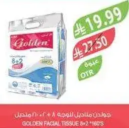 Golden Facial Tissue 8+2 160s