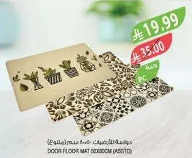 Door floor mat 50x80cm.