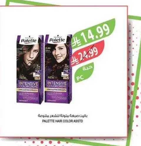 Palette Hair Color 100ml