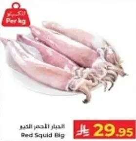 Red Squid Big Per kg
