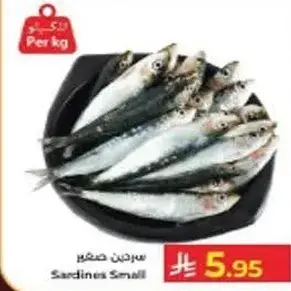 Sardines Small Per kg
