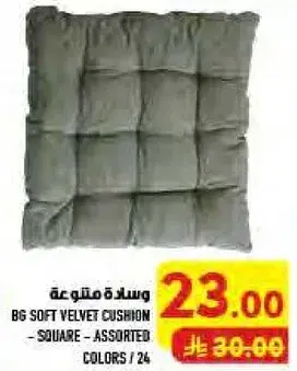 BG Soft Velvet Cushion - Square - Assorted Colors
