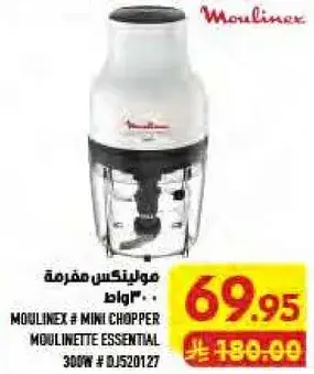 مولينكس مفرمه صغيره 300 واط