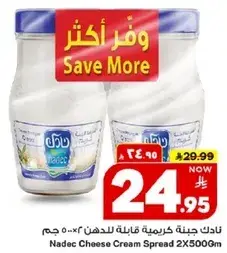 Nadec Cheese Cream Spread 2x500g