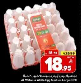 Al Watania White Egg Medium Large 30's