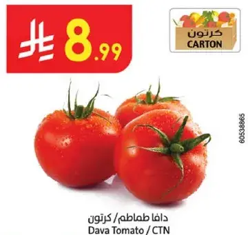Dava Tomato / CTN
