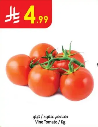 Vine Tomato / Kg