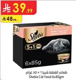طعام القطط شيا 6×85 غرام