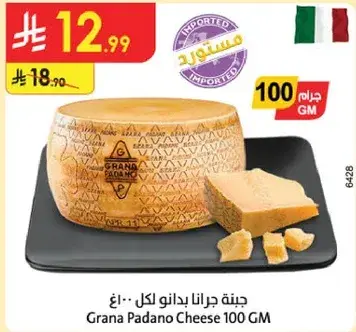 Grana Padano Cheese 100 GM