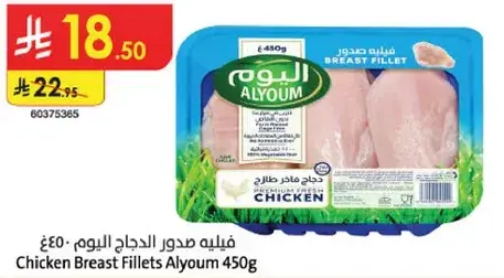 فيليه صدور الدجاج اليوم