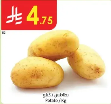 بطاطس / كيلو