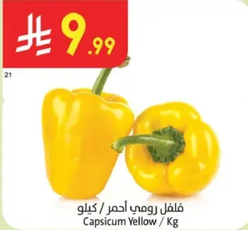 Capsicum Yellow / Kg