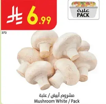 مشروم ابيض / علبه