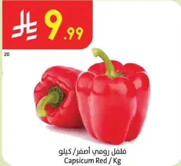 Capsicum Red / Kg
