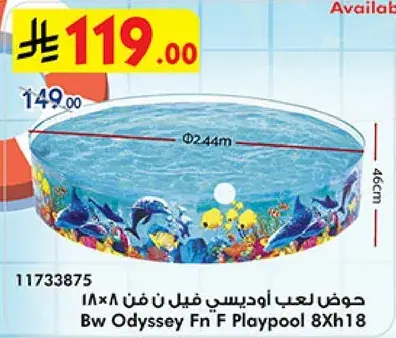 Odyssey play pool 8x18