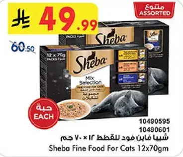 شيبا طعام فاخر للقطط 12x70 جرام
