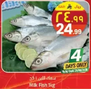 Milk Fish 1kg
