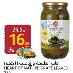 Heart of Nature Grape Leaves 1kg