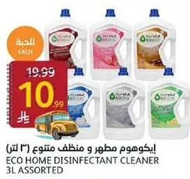 Eco Home Disinfectant Cleaner 3L Assorted