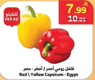 فلفل رومي احمر / اصفر - مصر