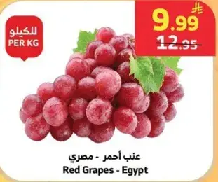 عنب احمر - مصري