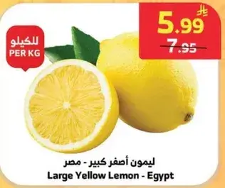 ليمون اصفر كبير - مصر