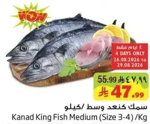 Kanad King Fish Medium (Size 3-4)/Kg