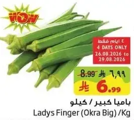 باميا كبيره / كيلو