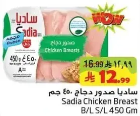 Sadia Chicken Breast B/L S/L 450 Gm