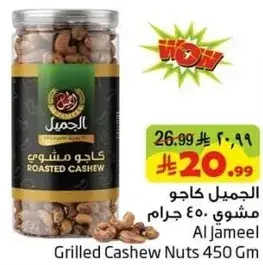 Al Jameel Roasted Cashew Nuts 450 Gm