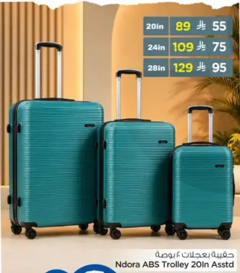 Ndora ABS Trolley 20in Asstd