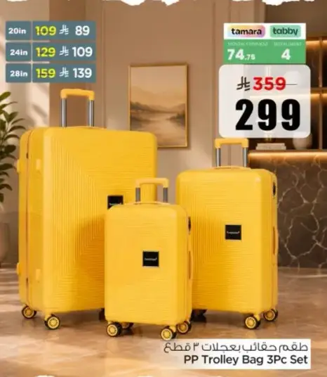 PP Trolley Bag 3Pc Set