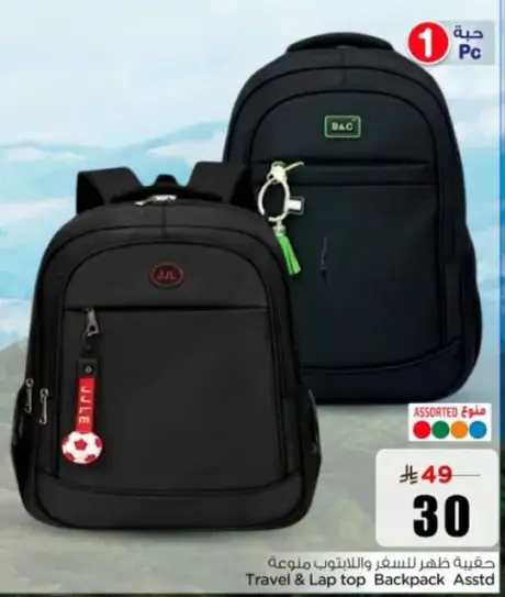 Travel & Laptop Backpack Assorted