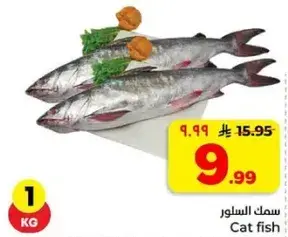 سمك السلور