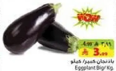 بادنجان كبير